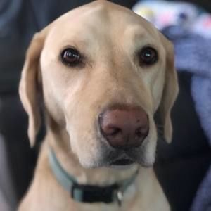 Meet your Posher, Smita